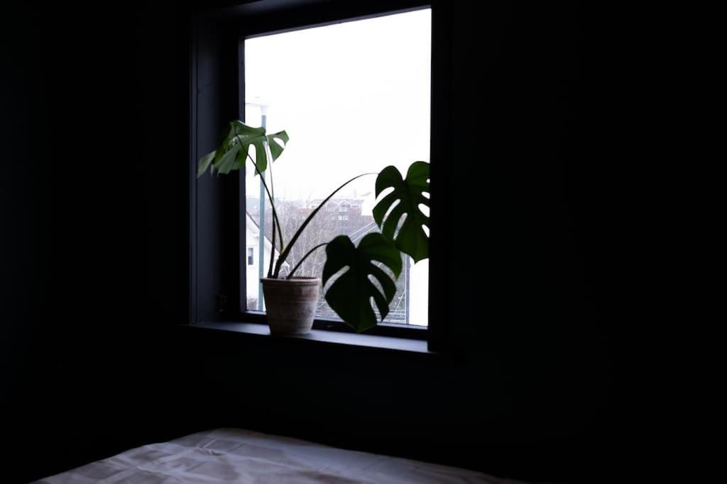 Charming Apartment In Central Stavanger Buitenkant foto