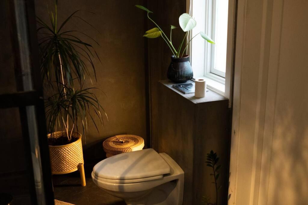 Charming Apartment In Central Stavanger Buitenkant foto